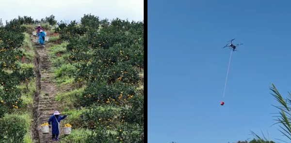 1765876404325255.jpg 640_wx_fmt=png&from=appmsg&tp=webp&wxfrom=10005&wx_lazy=1.jpg